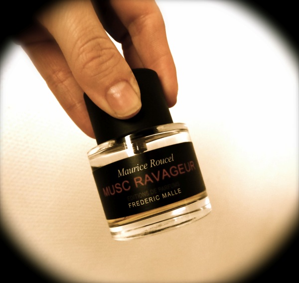 Musc Ravageur, référence éternelle…