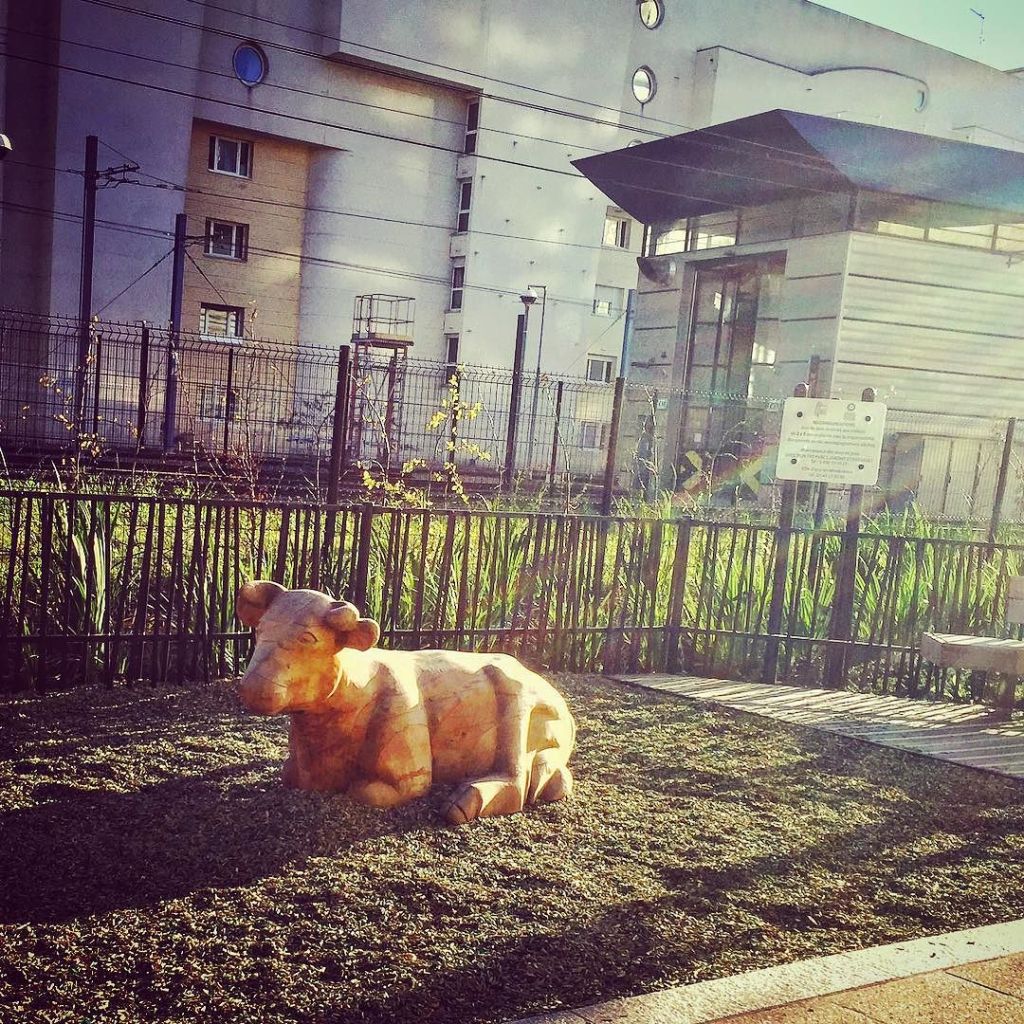 En direct d&rsquo;Instagram…